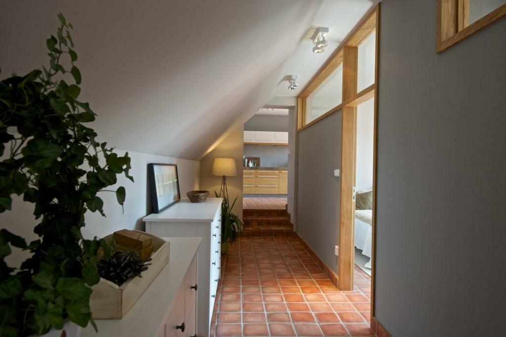 Apartament Statek Topelec Appartman I Piosek Zewnętrze zdjęcie